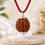 17 Mukhi Rudraksha