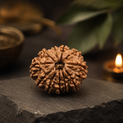 11 Mukhi Rudraksha