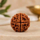 4 Mukhi Rudraksha