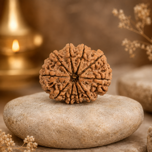 10 Mukhi Rudraksha